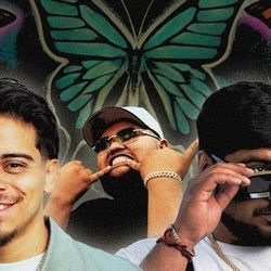 Barbosa and Vaca Butterfly Effect 