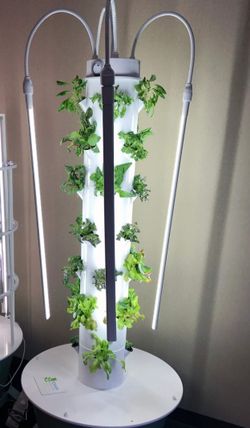 Tower Garden