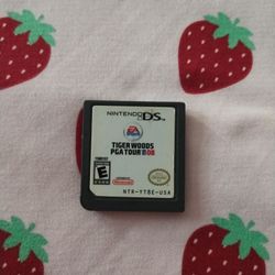 Tiger Woods Ds **Read Description**