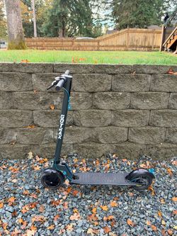 Adult Electric Scooter