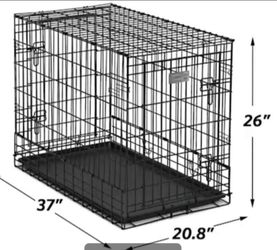 Dog crater