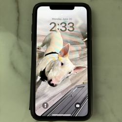 iPhone XS Max