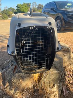 Free small dog cage