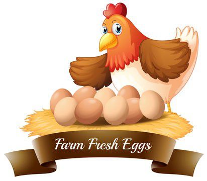 Fresh Eggs ! Collected Daily! Huevo Del Dia A Buen Precio