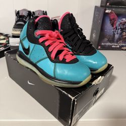 2010 LeBron 8 South Beaches