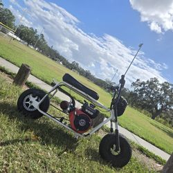 Stretched Doodle Bug