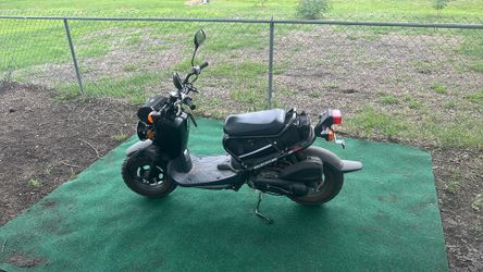 2024 Honda Ruckus