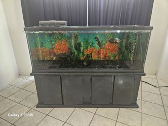 Fish tank with fishes