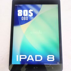 Clean IPAD 8