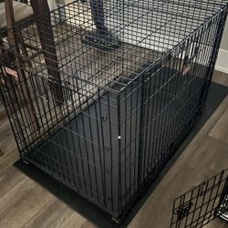 Free - XL Kong dog Crate