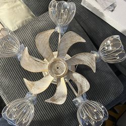 Cocostar Chandelier Fan With Light And Remote Control