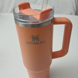 Stanley Tumbler
