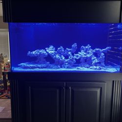 Complete 90 Gallon Saltwater Aquarium  Ready To Go