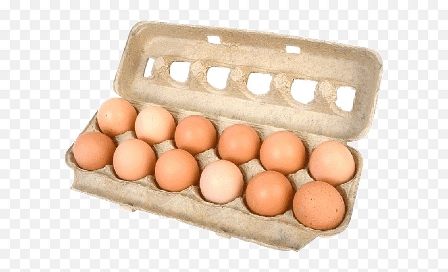 12 Daily Fresh Local Small Organic Eggs
