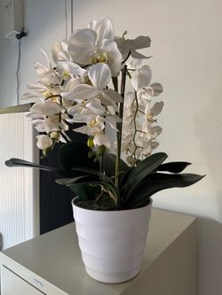 Orchid plant ( artificial)