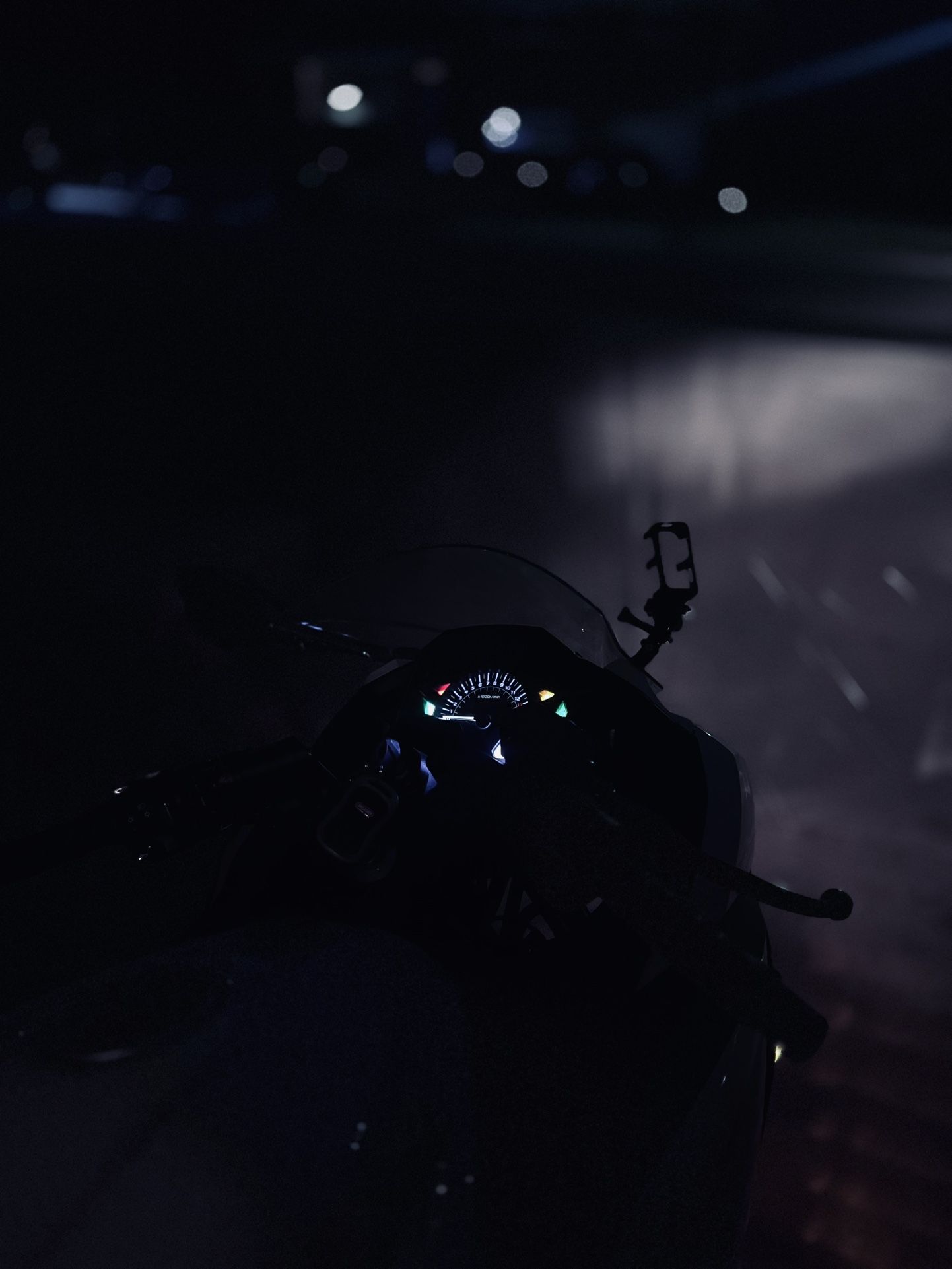 2015 Kawasaki Ninja 300