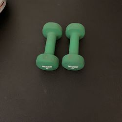 Weider 8lb Weights