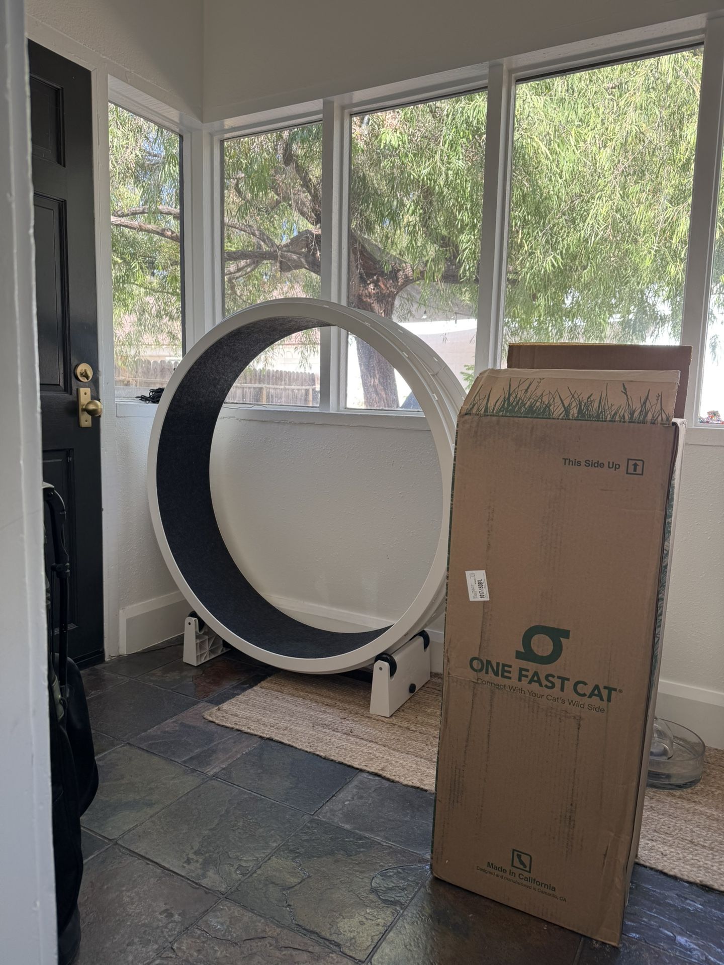 One Fast Cat Wheel