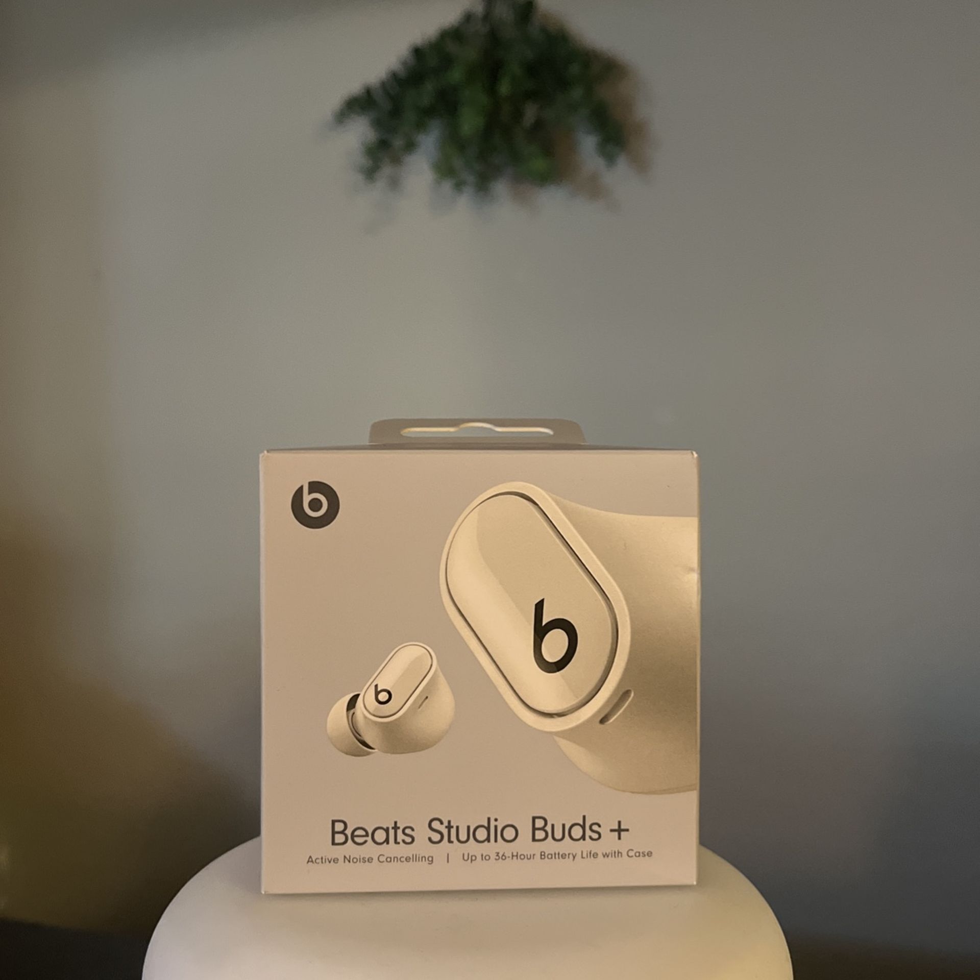 White BEATS Studio Buds+ With USB-C Charging Case & Cable