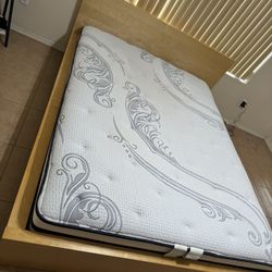 Queen Bedframe And Mattress 