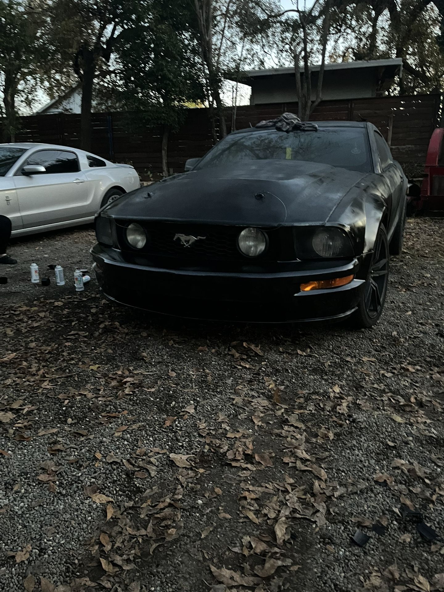Mustang Gt