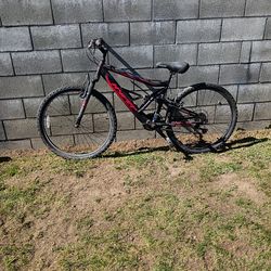Adult Bike /Bicicleta Para Adultos