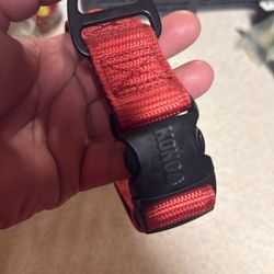 Kong Dog Collar