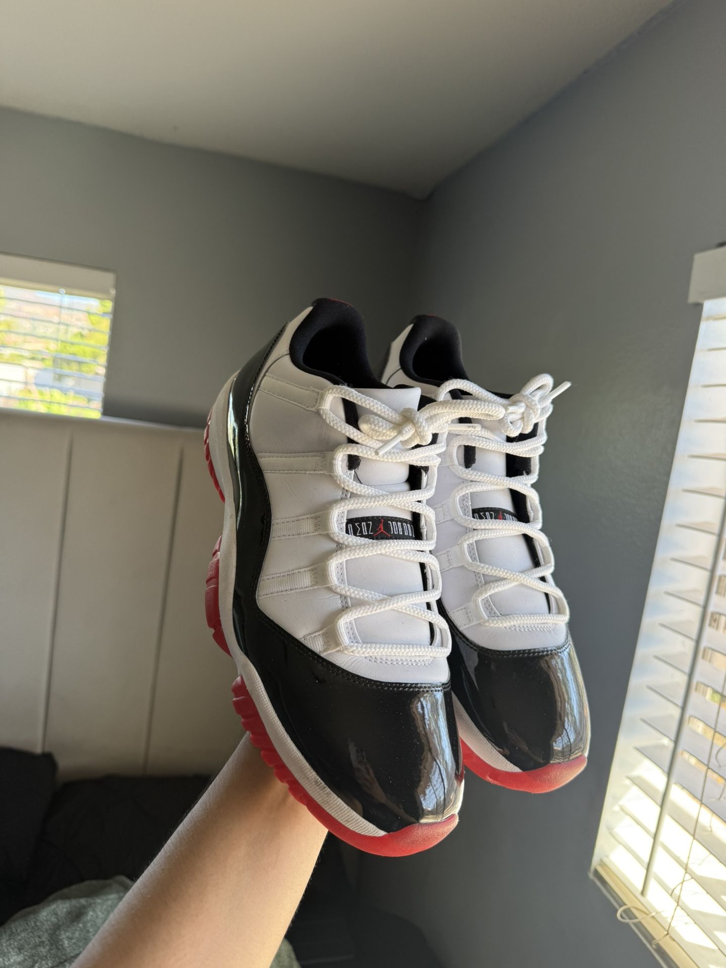 Jordan 11 concord bred low