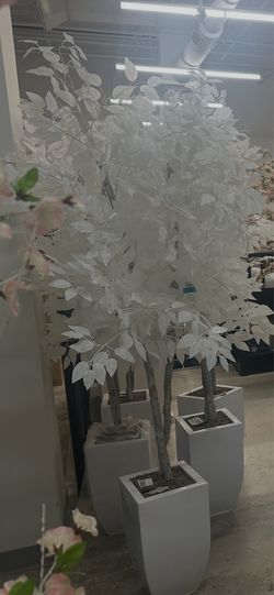 Elegant White Artificial Decorative Trees in Modern Planters – Wedding, Event, Home or Office Décor