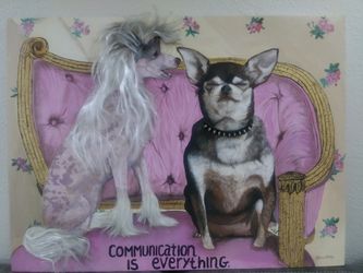 Lesbian / 3d dog painting 4x3 Ft 