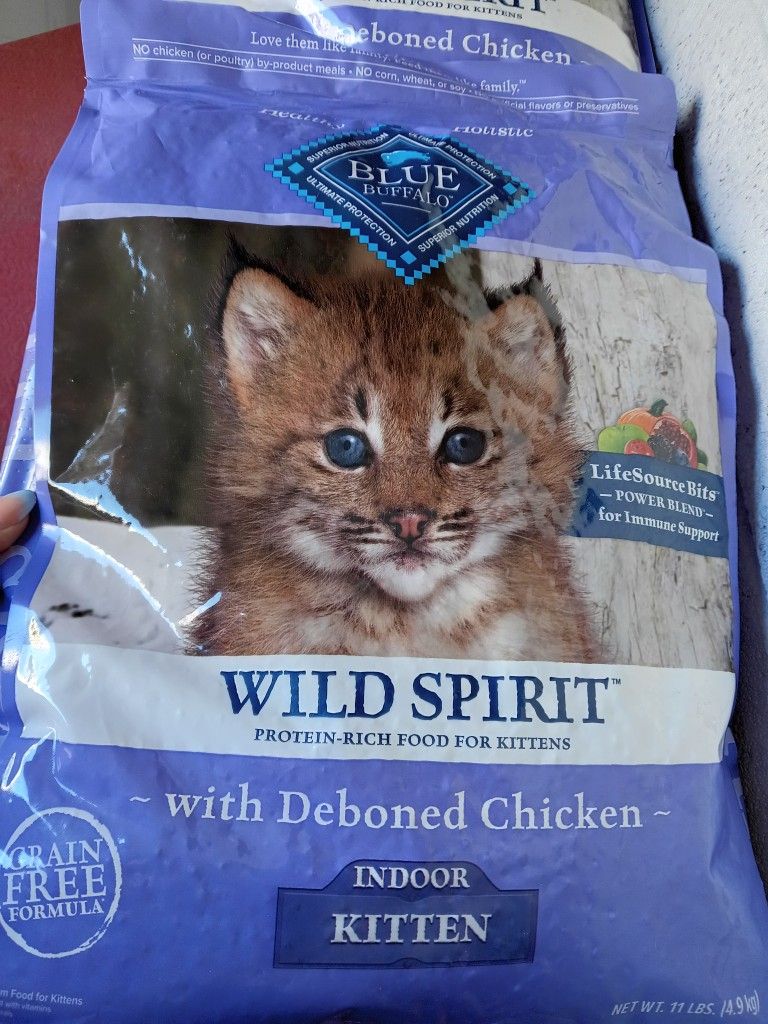 Kitten Food