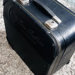 Dino Baffetti Accordion Case