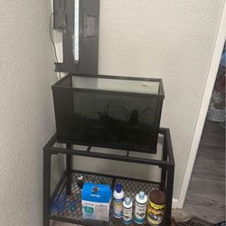 Fish Aquarium - 10 Gallon - With Stand And Everything