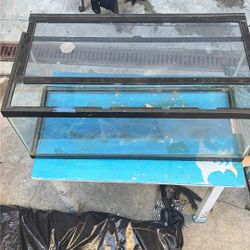 Terrarium With Lid & Driftwood