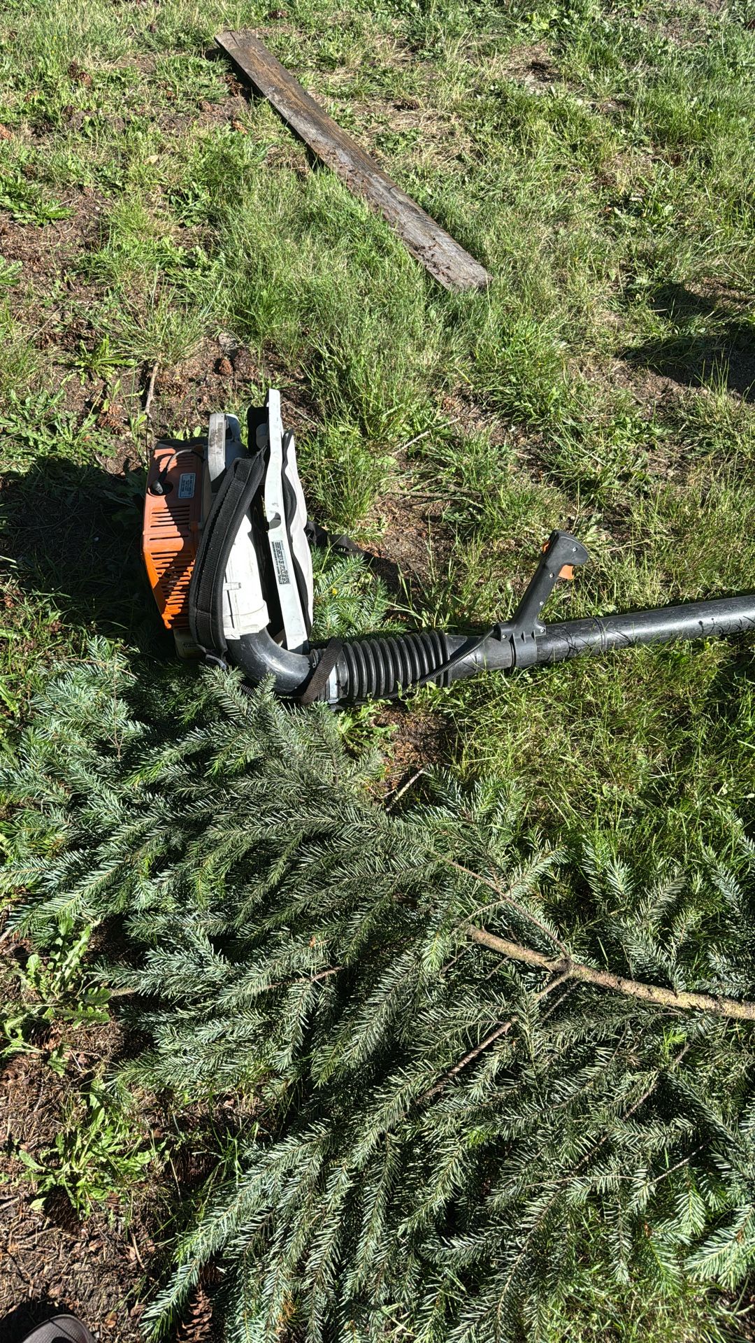 Stihl Backpack Blower