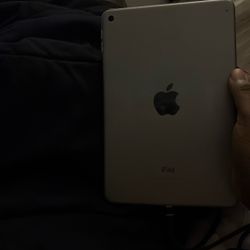 IPAD MINI 4 