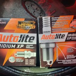 Is autolight a radium XP3924 set of 8 Brand New  spark plugs for a 95 Dodge ram 1500 pick up