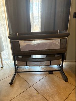 Bassinet with net