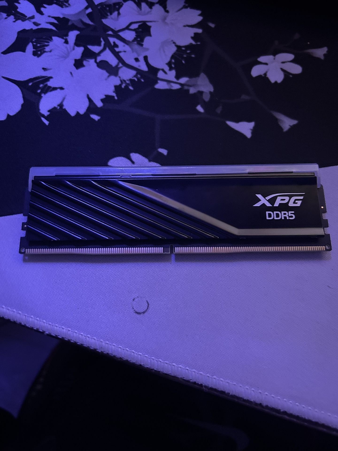 Ram Ddr5 16gb