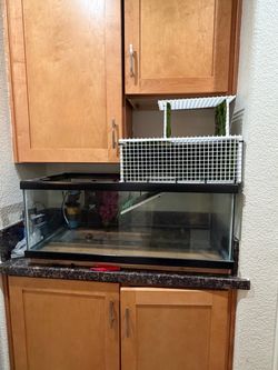 40 Gallon Long Tank