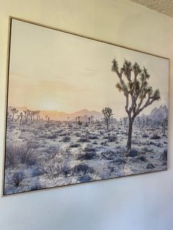 Joshua Tree Framed Canvas (40” x 30”)