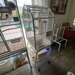 Big Bird Cage 