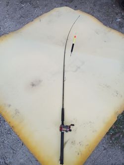 Rod and reel