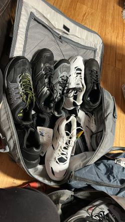 Tenis
