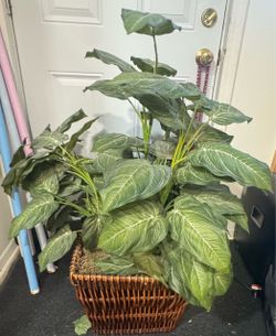 Large Artificial Plant in Wicker Basket