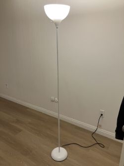 Floor Lamp (2 Of Them)
