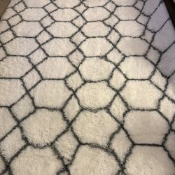 Area Rug 6’x9’