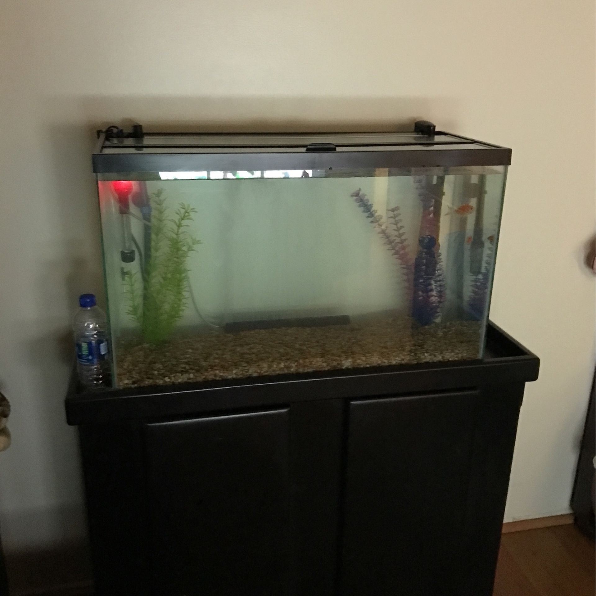 29 Gallon Tank