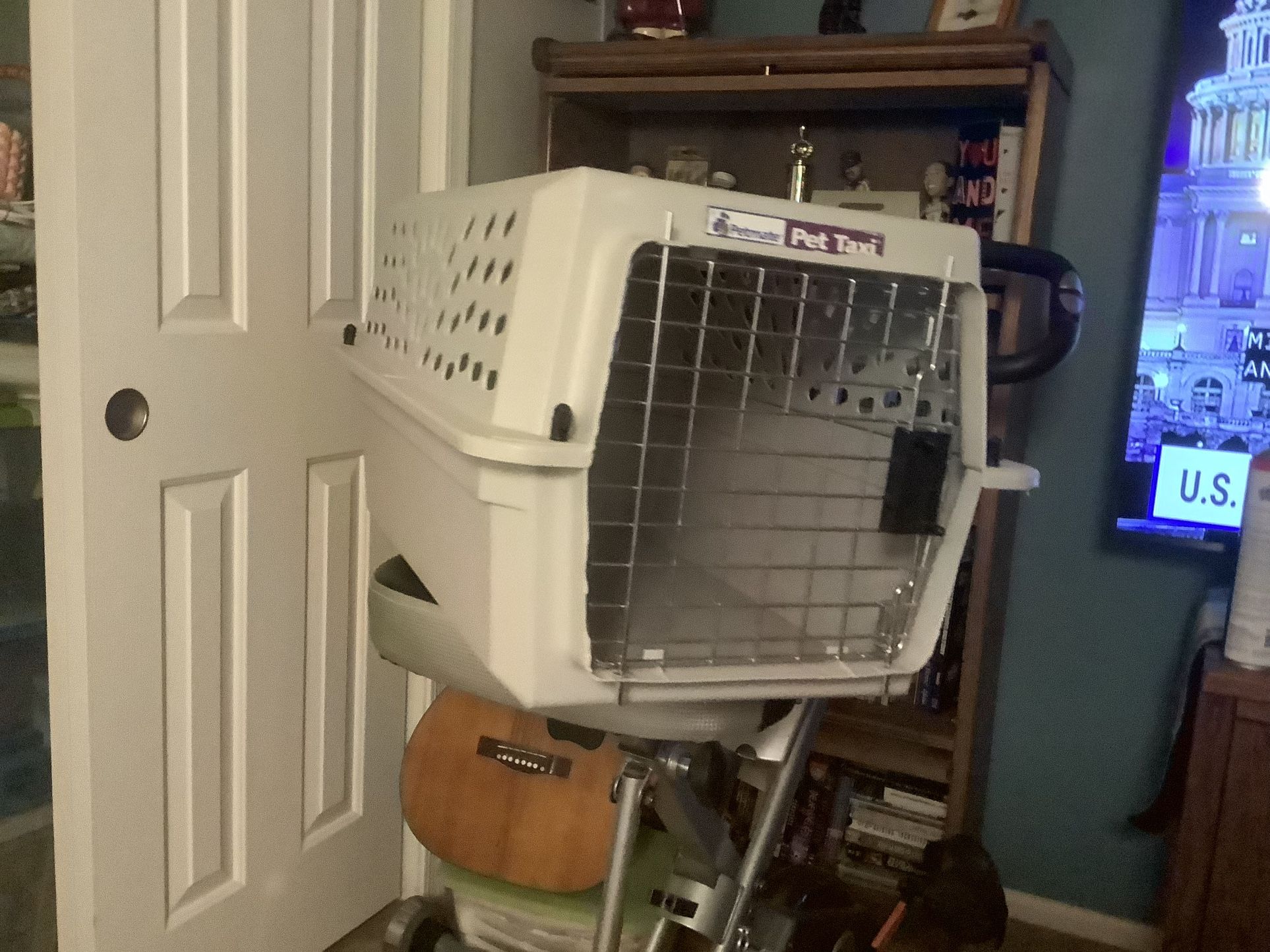 Pet Taxi