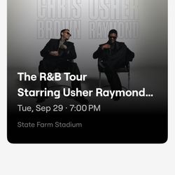 CHRIS BROWN/ USHER CONCERT 10/29 AZ